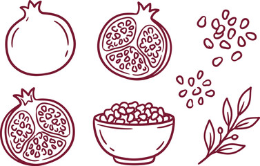 Hand-Drawn Pomegranate Whole, Halved, Seeds, and Bowl