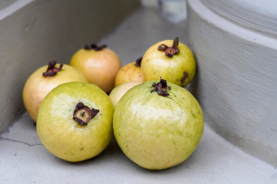 Seven red guava fruits are hidden in the crevices of the wall. Their greenish yellow skin almost covers the fresh red flesh. Each fruit appears ripe, ready to offer a sweet and refreshing taste.
