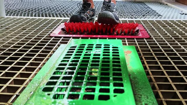 Hiker cleaning hiking boots at biosecurity station in New Zealand
