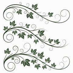 Elegant Thin Vine Border Pattern Vector Illustration