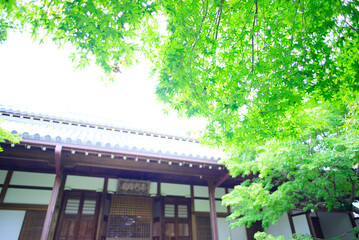 京都嵐山の嵯峨野を散策する