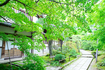 京都嵐山の嵯峨野を散策する