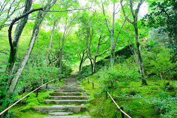 京都嵐山の嵯峨野を散策する