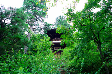 京都嵐山の嵯峨野を散策する