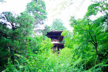 京都嵐山の嵯峨野を散策する