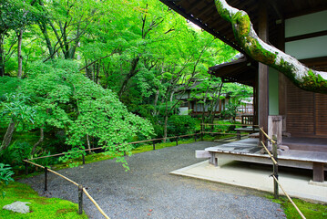 京都嵐山の嵯峨野を散策する