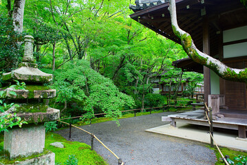 京都嵐山の嵯峨野を散策する