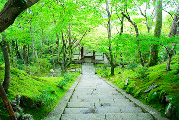 京都嵐山の嵯峨野を散策する