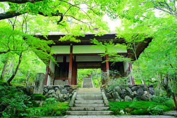 京都嵐山の嵯峨野を散策する