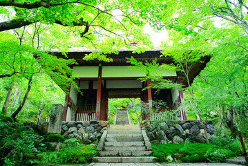 京都嵐山の嵯峨野を散策する