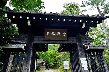 京都嵐山の嵯峨野を散策する