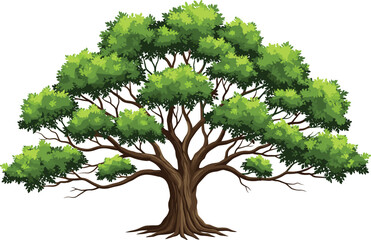 Large green tree with wide canopy vector illustration isolated on white background for nature landscape design ecology concepts