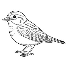 Obraz premium Small songbird perched on ground illustration for nature concept