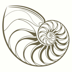 Luxury Abstract Pearl Shapes with Glossy Finish © Stock