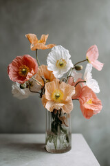 Colorful bouquet of poppy flowers in a clear vase on a neutral background