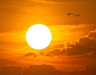 Vivid sky showcases a bright sun with clouds and a flying bird