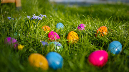 Placing colored Easter eggs in gardens for decoration and a scavenger hunt
