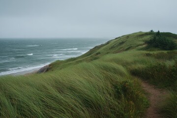 Grassy Coastal Hillside Overlooking a Wavy Ocean Under a Cloudy Sky coastline water