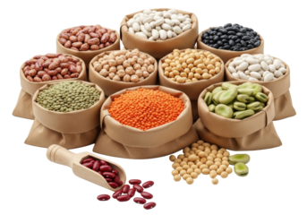 Nine distinct brown paper bags overflowing with various dry legumes on a transparent background, with a wooden scoop of red kidney beans in foreground, concept of natural abundance