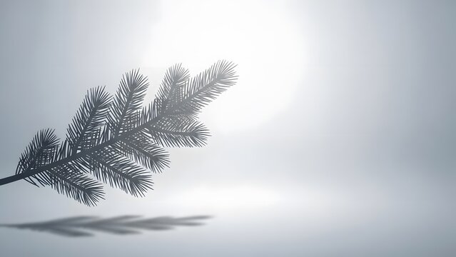 Minimal Silver Pine Branch Christmas Background