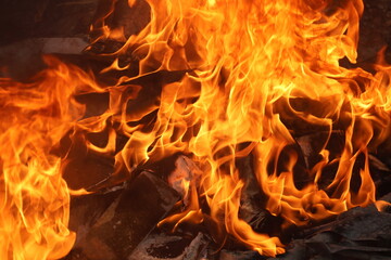 Real orange flame isolated, burning hot texture for digital art, photo editing and design overlays, dynamic energy concept.