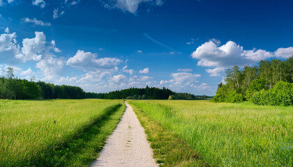 Summer Landscape Sunny Weather Clear Field Blue Sky With Bright White Clouds Grass Shrubs Forest In The Distance And On The Side A Narrow Straight Walking Path Leading Forward