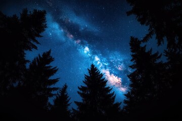 Fototapeta premium Night sky filled with bright stars and a vivid milky way galaxy framed by tall dark pine trees creating a serene and awe-inspiring scene