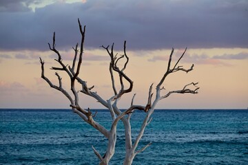 The sun sets on the Hawaiian island of Maui