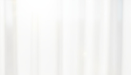 柔らかな光をイメージした白色基調の背景画像
木漏れ日、自然、花、植物、日の当たるモダンな室内の雰囲気