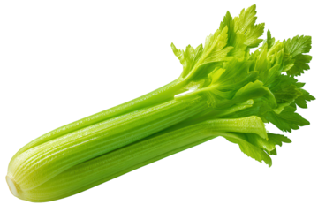 Fresh green celery stalk with leaves isolated on a transparent background