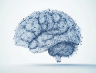 3d digital illustration of a human brain made of interconnected points and lines forming a neural network structure