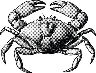 Detailed Crab Marine Life Illustration in Vintage Engraving Halftone Style Black and White Vector Graphic © Ustro