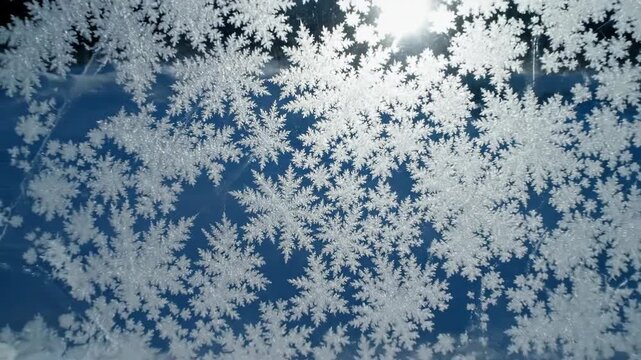 Delicate ice crystals form intricate snowflake patterns on a frozen surface with a blue background