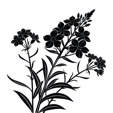Silhouette bouquet fireweed flowers isolated on transparent background beautiful decorative floral element in black color