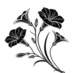 Vector silhouette of three trumpet shaped petunia flowers with buds and foliage on transparent background illustration