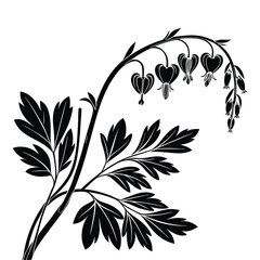 Black silhouette of bleeding heart flowers hanging from arching stem with detailed fern like leaves on transparent background