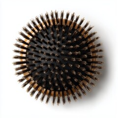 Round Wooden Bristle Brush