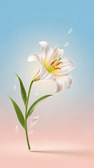 Obraz premium White lily flower with green leaves on soft gradient background for Easter 