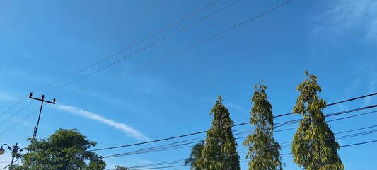 A landscape view of green tree tops against a blue sky, with power lines stretching across the frame