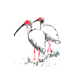 水墨技法で描いた寄り添う朱鷺ペア