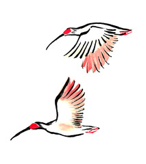 水墨技法で描いた飛ぶ朱鷺ペア