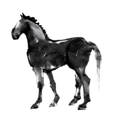 水墨技法で描いた黒い馬