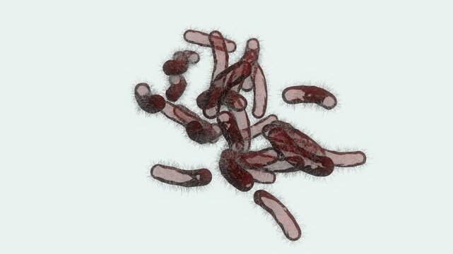 Rod-shaped Bacteria with Flagella Floating in white Blue Liquid