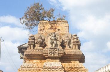 India, Karnataka, Mysuru, Beautifully Carved Tulasi Vrindavan in Premises of Sri Ranganathaswamy Temple,  The 9th Century Carvings.
