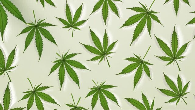Cannabis leaves pattern with light beam.