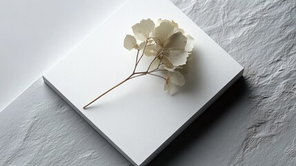 delicate dried hydrangea branch with cream petals on a white textured square board over a crumpled gray surface, evoking calm elegant minimalism