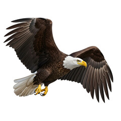 Obraz premium American bald eagle in flight isolated on transparent background