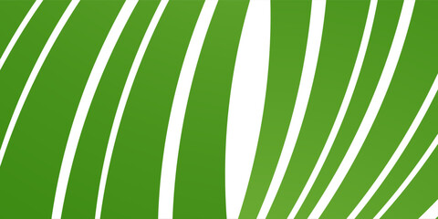 Modern Abstract green curved banner background. vector eps10 background concept