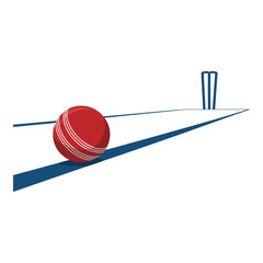 Professional Cricket Pitch and Ball Perspective Vector Illustration