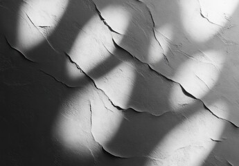 black and white cracked plaster wall with peeling layers and soft dappled shadows, evoking a quiet weathered and contemplative mood